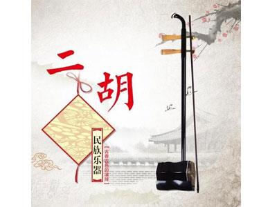 招聘眉山二胡家教老师